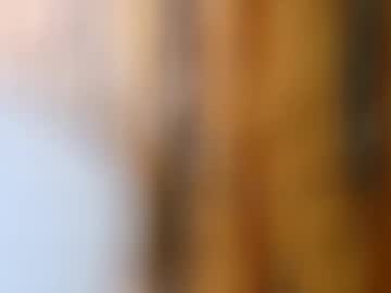 dvelope — 2025-10-14 09:18 dvelope — 2025-10-14 09:18