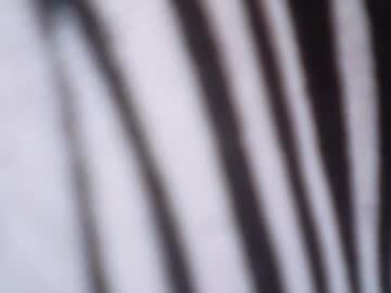 nasty_goddessxxx — 2025-10-14 01:08 nasty_goddessxxx — 2025-10-14 01:08